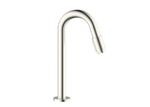 Easylux Vivo koudwaterkraan - uitloop 270 mm - Brushed Nikkel PVD