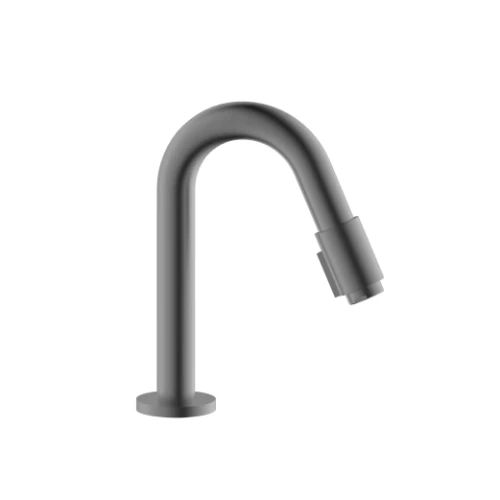 Easylux Vivo koudwaterkraan - uitloop 190 mm - Gun Metal PVD