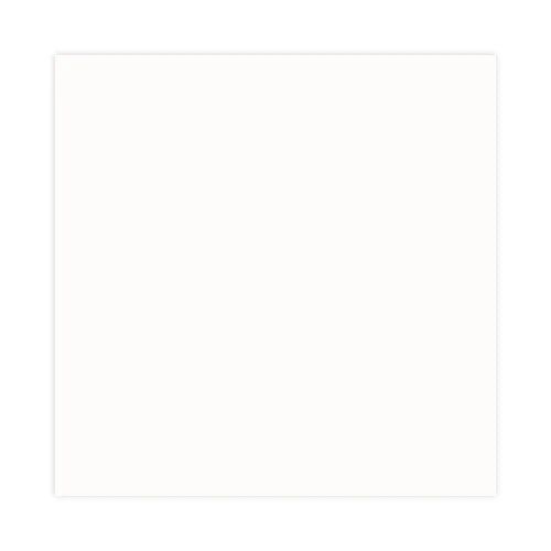 Easylux Showerboard wandbekleding 2030 x 1010 x 6 mm - wit mat - inclusief verpakking