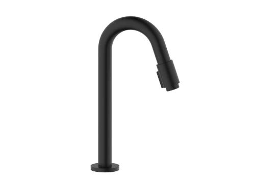 Easylux Vivo koudwaterkraan - uitloop 270 mm - zwart mat