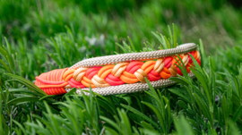 Snelle klip halsband