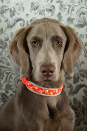 Snelle klip halsband