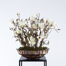 Pot Shell Bruin ovaal
