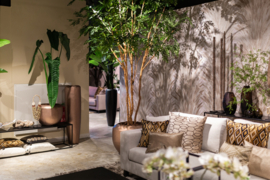 Groene, hoge plant in pot
