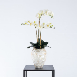 Pot Shell Crème smal