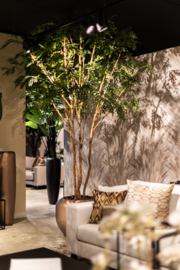 Groene, hoge plant in pot