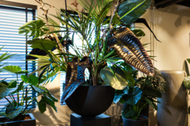 Pot met diverse planten