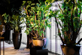 Groots bloemstuk diverse planten