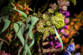 Bloemstuk groot kleur