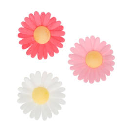 Funcakes eetbare papieren bloemen Madelief pk/13