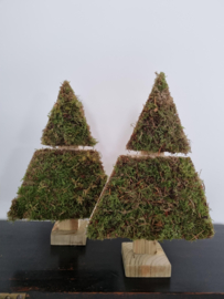 Kleine houten kerstboom met mos