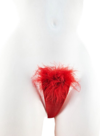 Slip Strapless met veertjes - Onesize - Rood Ondergoed zonder bandjes - String zonder touw