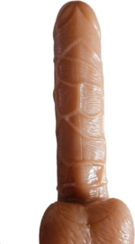 Dildo voor vrouwen met zuignap - 20cm - Anaal - vaginaal - Realistisch -