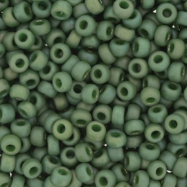 Miyuki rocailles 6/0 4700 Opaque Glazed Frosted Rainbow Shamrock (10 gram)