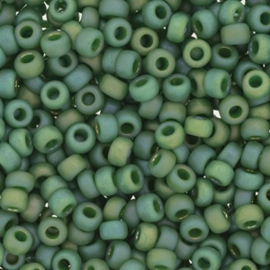 Miyuki rocailles 6/0 4699 Opaque Glazed Frosted Rainbow Green (10 gram)