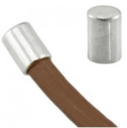 RVS eindkap voor (leder-) koord 2 mm zilverkleur 2 stuks