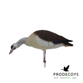 Elite series nijlgans lokkers 6 stuks full body