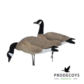 De elite series full body Canadese gans lokkers painted