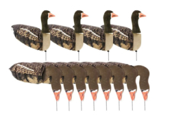 Sillosocks Ganzenlokker Grauwe Gans Harvester 12-Pack