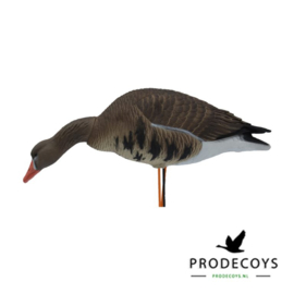 Elite series kolgans lokkers 6 stuks full body