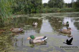 Wilde eend lokkers floaters full body per 12 stuks 41 cm