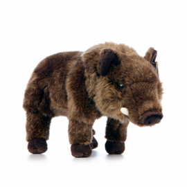 Pluche dier Wild zwijn