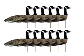 Sillosocks Ganzenlokker Canadese Gans Kijkens 12-Pack (FlockSox)