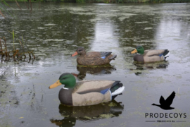 Wilde eend lokkers floaters full body per 12 stuks 41 cm