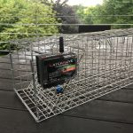 CatchAliveOne V2