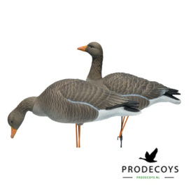 Elite series grauwe gans lokkers 6 stuks full body
