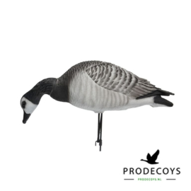 Elite serie brandgans lokkers 6 stuks full body