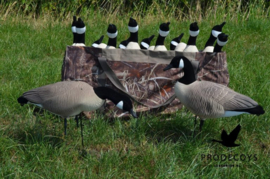 Canadese gans lokkers 12 stuks full body