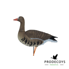 Elite series kolgans lokkers 6 stuks full body