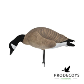 De elite series full body Canadese gans lokkers painted