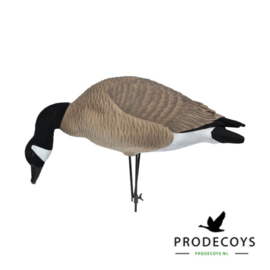 De elite series full body Canadese gans lokkers painted