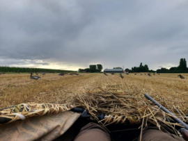 Layout blind wetland camouflage