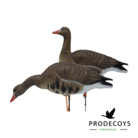 Elite series kolgans lokkers 6 stuks full body