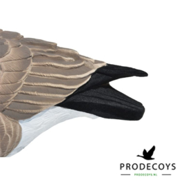 De elite series full body Canadese gans lokkers painted