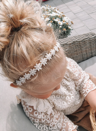 Diadem Lace Flower