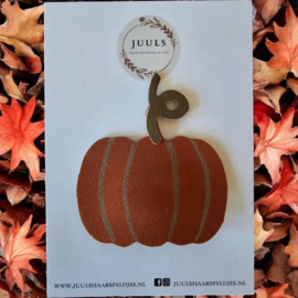 Haarspeldje autumn pumpkin