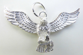 Zilveren adelaar hanger met slang.
