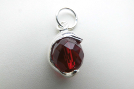 Zilveren dolfijn met rode ogri ai hanger.