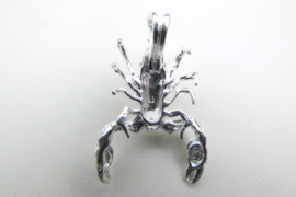 Zilveren schorpioen hanger.
