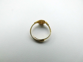 Gouden baby mattenklopper ring.
