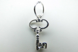 Zilveren ouderwetse sleutel hanger.