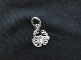 Zilveren sterrenbeeld schorpioen hanger.