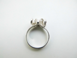 Zilveren ram ring.