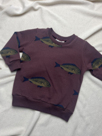 Sweater | Fish