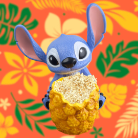 Popcorn Buckets