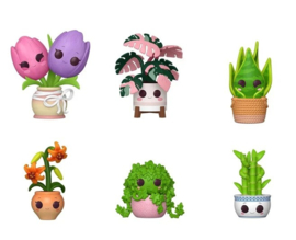 PLANTS - Pop Mystery (6pcs) Pre-Order 08-2026
